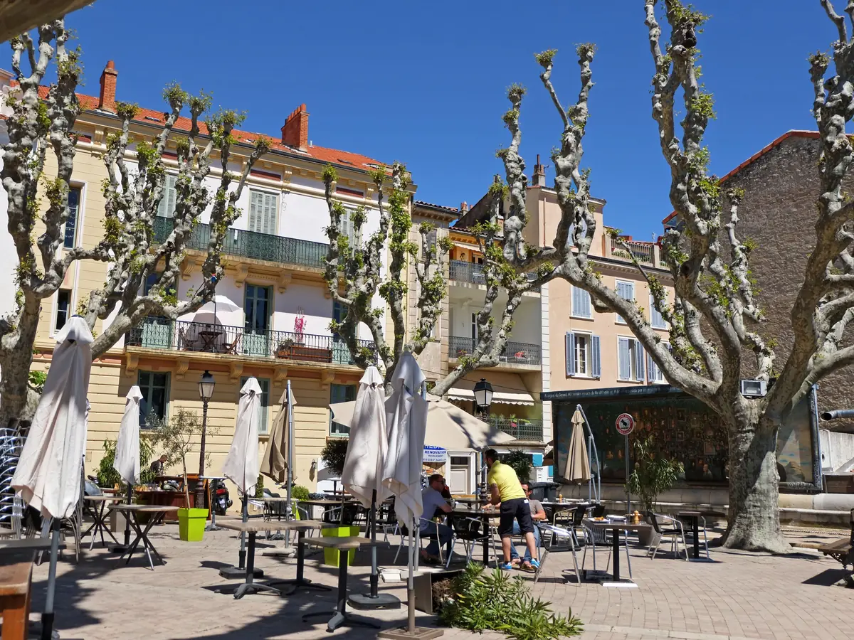 Les terrasses de la place Bellevue au Cannet, sous les platanes