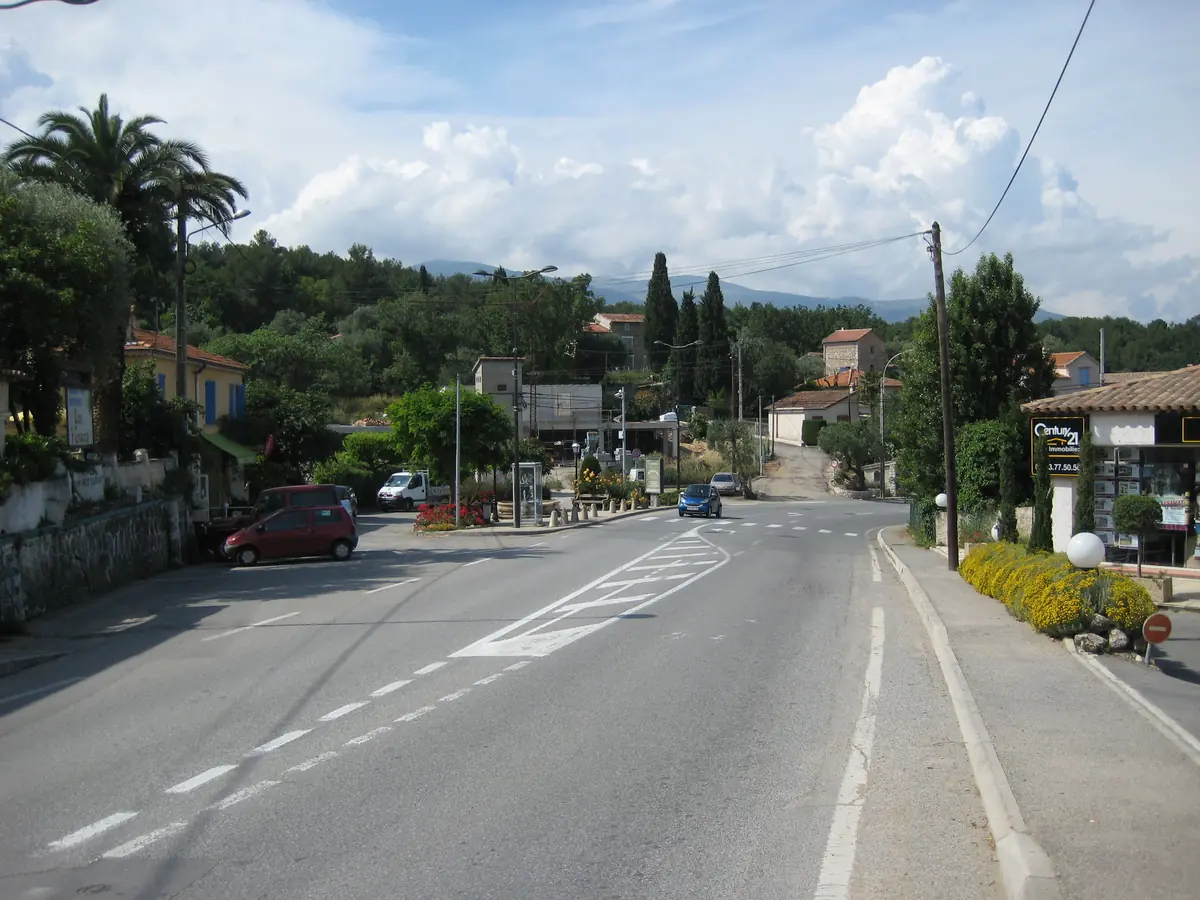 Une route bordée de pins à Roquefort-les-Pins