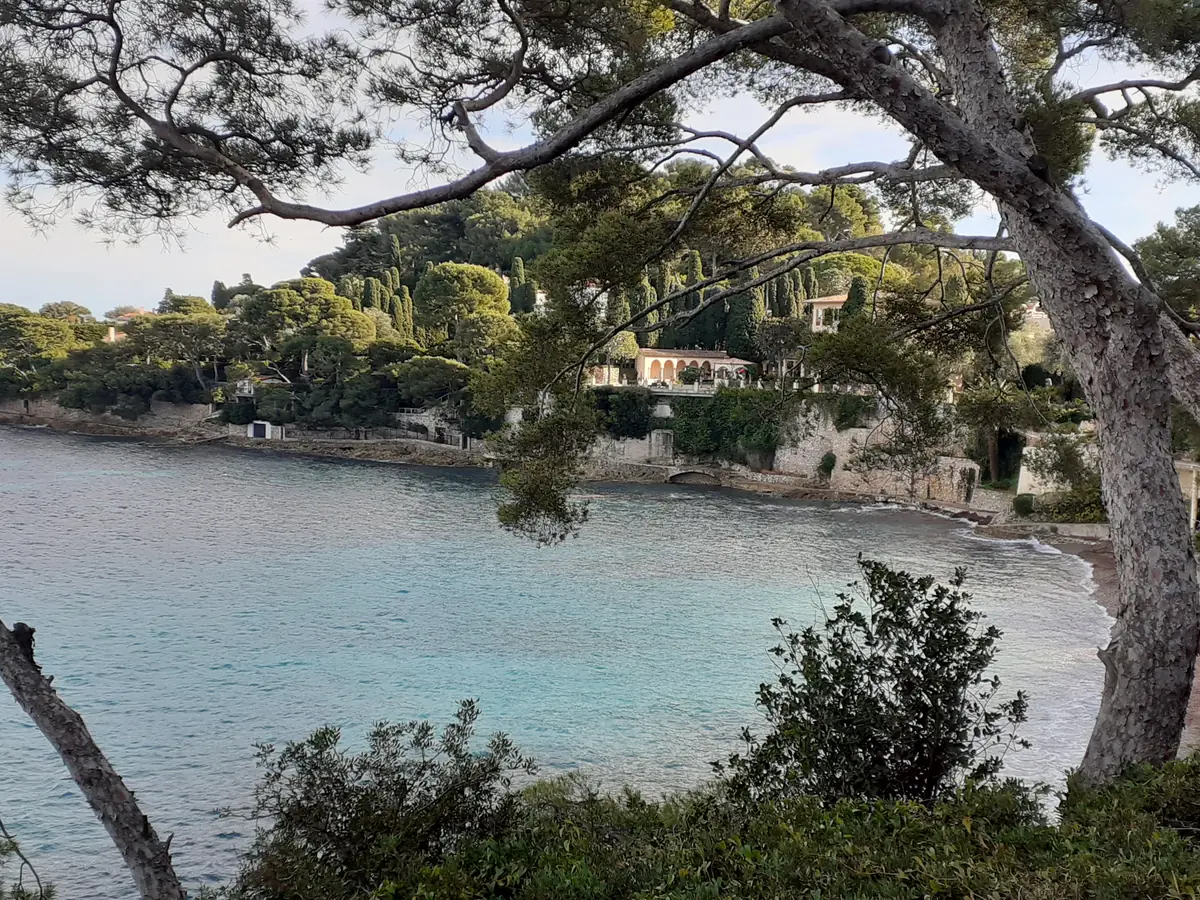 La plage Paloma au cap Ferrat, anse de galets et pins face aux falaises